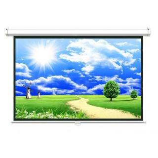 Màn chiếu Điện Dalite P84ES 120 Inch